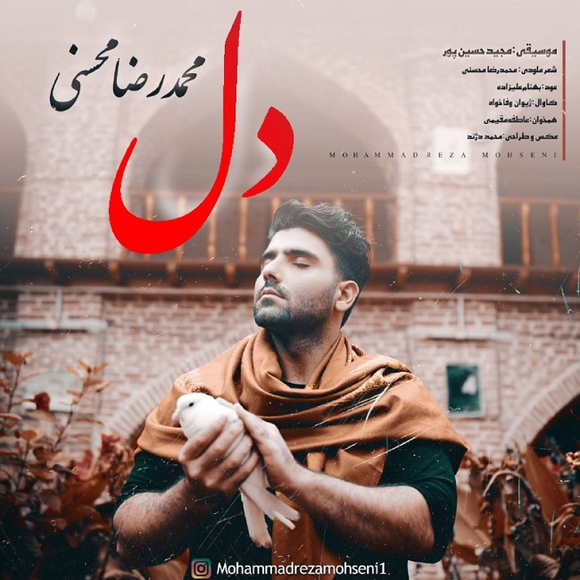 Mohammadreza Mohseni – Del